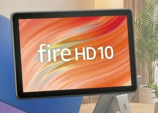 タブレットで動画を視聴する様子